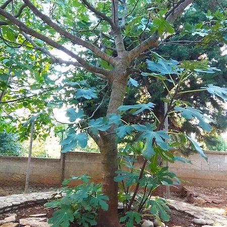 Garma Διαμέρισμα *